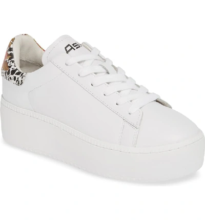 Ash Cult Platform Lace Up Sneakers In White/ Flower Pattern Leather