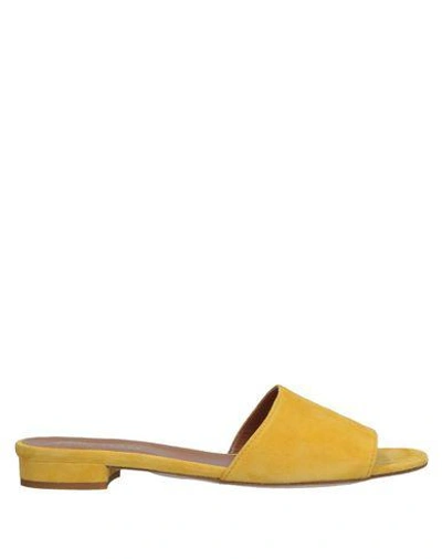 Paris Texas Sandals In Yellow