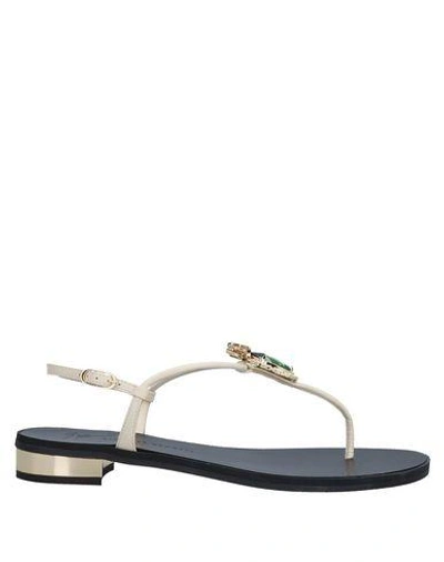 Giuseppe Zanotti Flip Flops In Beige