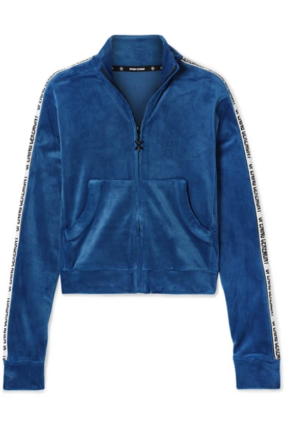 Opening Ceremony Cropped Intarsia-trimmed Velour Jacket In Bright Blue