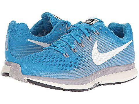 pegasus 34 ice blue