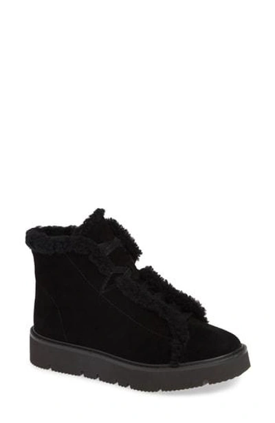 Gentle Souls By Kenneth Cole Trevor Genuine Shearling Lined Bootie In Black Suede