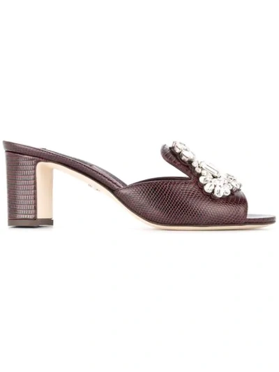Dolce & Gabbana Embellished Mules In Brown