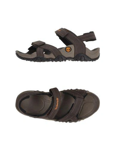 Timberland Sandals In Lead