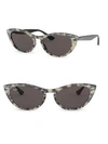 Ray Ban Cateye Sunglasses In Beige Havana