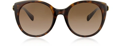 Gucci Sunglasses Gg0369s Cat-eye Acetate Sunglasses In Havana,brown