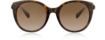 Gucci Sunglasses Gg0369s Cat eye Acetate Sunglasses In Havana