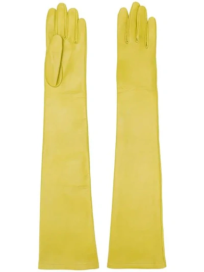 N°21 Arm Length Gloves In Yellow