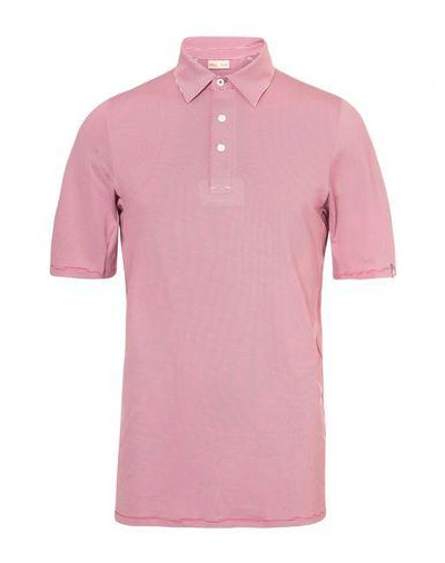 Kjus Polo Shirt In Fuchsia