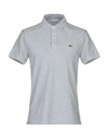 Lacoste Polo Shirt In Light Grey