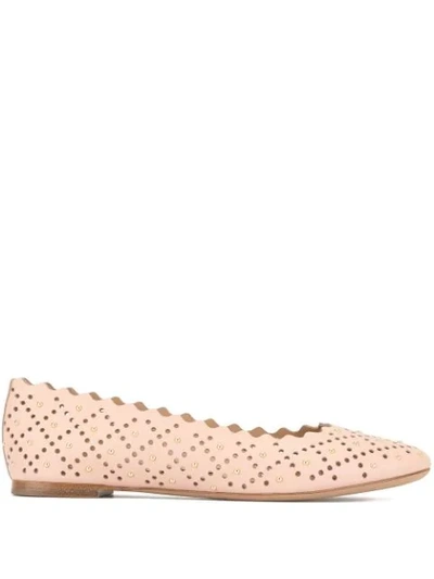 Chloé Lauren Studded Scallop-edge Leather Ballet Flats In Pink