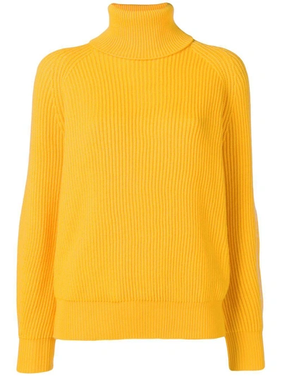 Sport Max Code Ghisa Turtle Neck Jumper In Yellow