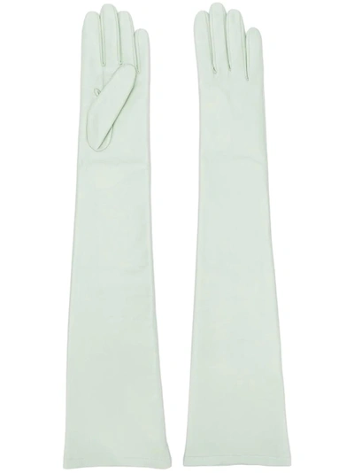 N°21 Nº21 Arm Length Gloves - Green