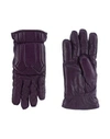 Dsquared2 Gloves In Purple