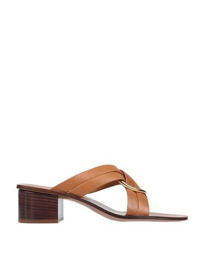 Chloé Sandals In Brown