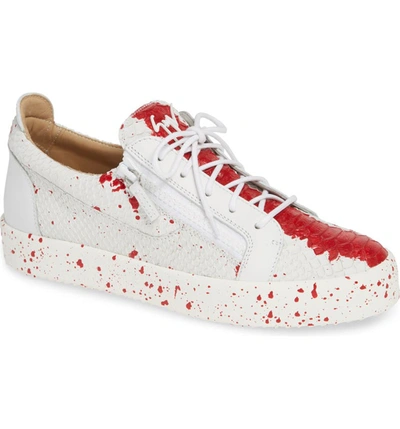 Giuseppe Zanotti Low-top Leather Splash Paint Sneakers In White