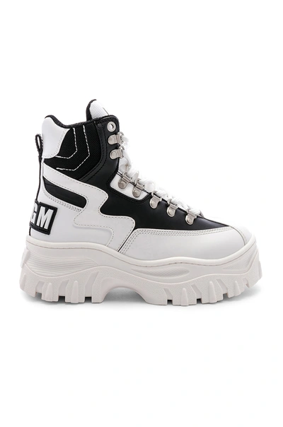 Msgm High Top Tractor Block Sneaker In White & Black