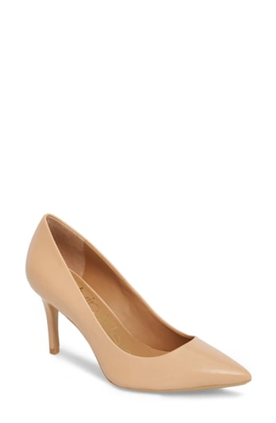 Calvin Klein 'gayle' Pointy Toe Pump In Blush/ Nude Leather