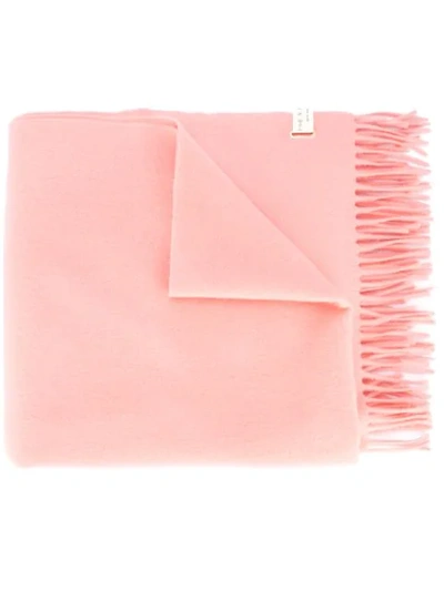 Rag & Bone Classic Fringe Wool Scarf In Pink