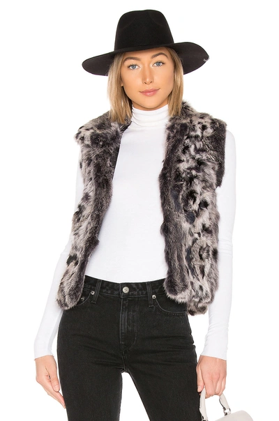 Adrienne Landau Animal Printed Fur Vest In Gray. In Grey Leopard