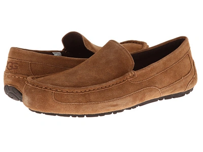 alder ugg
