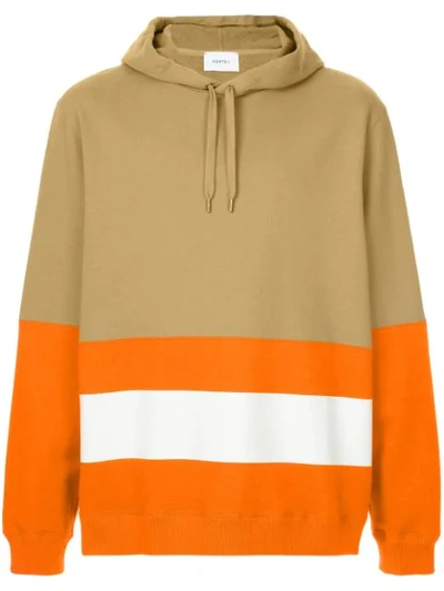 Ports V Hooded Sweatshirt In Brown