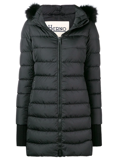 Herno Hooded Padded Jacket - Black