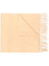 Begg & Co Fringed Edge Scarf - Neutrals