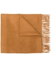 Begg & Co Fringed Edge Scarf - Brown