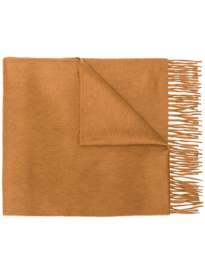 Begg & Co Fringed Edge Scarf - Brown