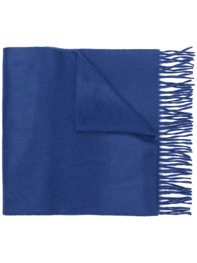 Begg & Co Fringed Edge Scarf - Blue In Blue