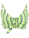 Amir Slama Striped Cropped Top In Green