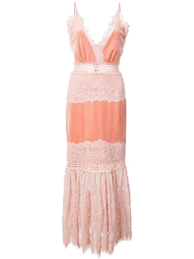 Patbo Lace & Velvet Dress In Pink