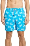 Tom & Teddy Pineapple Print Swim Trunks In Crystal Blue