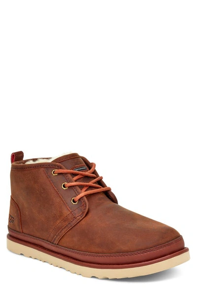 Ugg Men's Neumel Luxe Classic Casual Boots Men's Shoes In Chestnut
