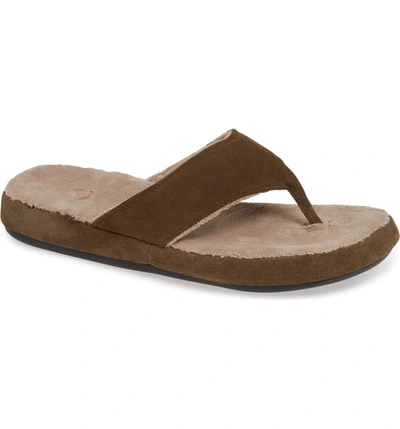 Acorn Flip Flop In Smokey Taupe