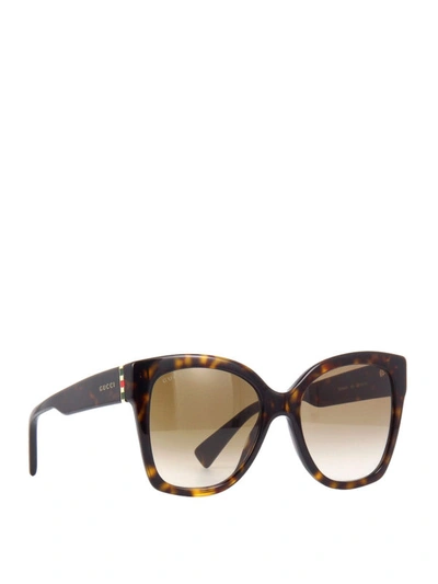 Gucci 53mm Gradient Cat Eye Sunglasses - Shiny Dark Havana In Brown