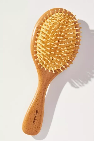 Abyssian Paddle Schima Wood Hair Brush In Brown