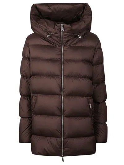 Add High-collar Down Polyester Jacket In Brown