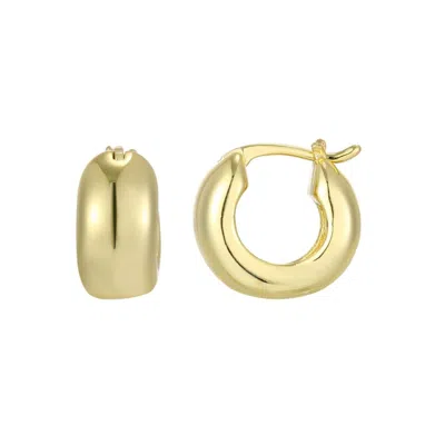 Adornia 14k Gold Plated Chubby Purse Hoop Earrings