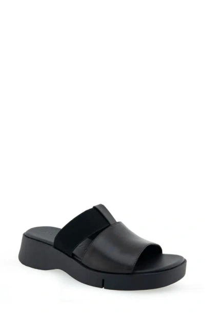 Aerosoles Frankling Double Strap Sandal In Black Combo