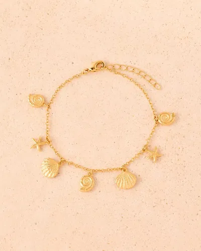 Agapée 14988821856582 In Gold