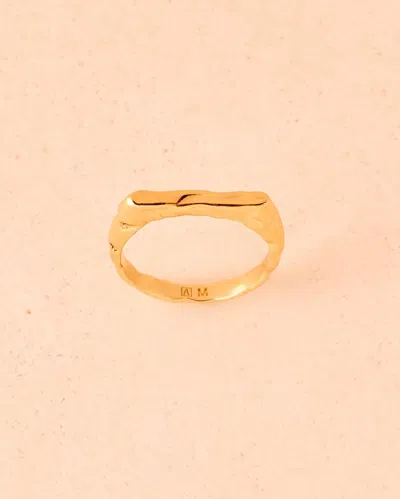 Agapée 54822121537862 In Gold