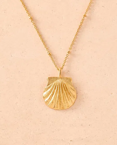 Agapée 6958431240255 In Gold