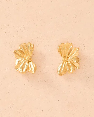 Agapée 8931504456006 In Gold