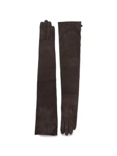 Agnelle Glamour Suede Gloves In Brown