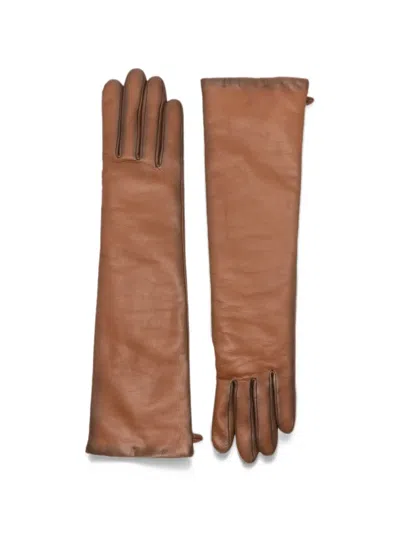 Agnelle Opera Leather Gloves In Brown