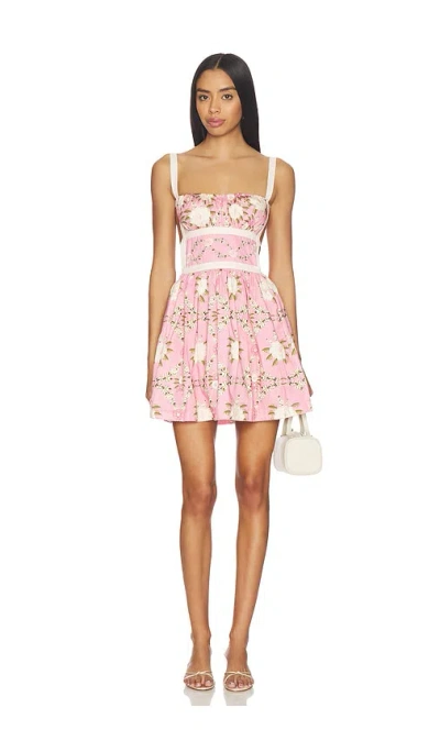 Agua Bendita Logan Dress In Pink