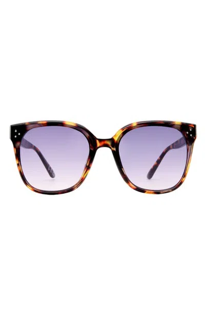 Aire Elementa 62mm Oversize Round Sunglasses In Brown