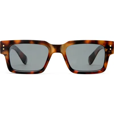 Aire Gender Inclusive Aeron 49mm Polarized Rectangular Sunglasses In Brown
